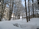 /Ski/2009/Images/1638/Photo 058Icon.jpg